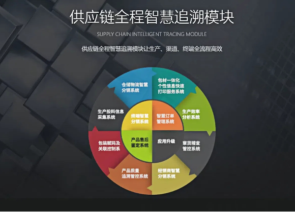 中商网络|专业服务业SAP成功案例